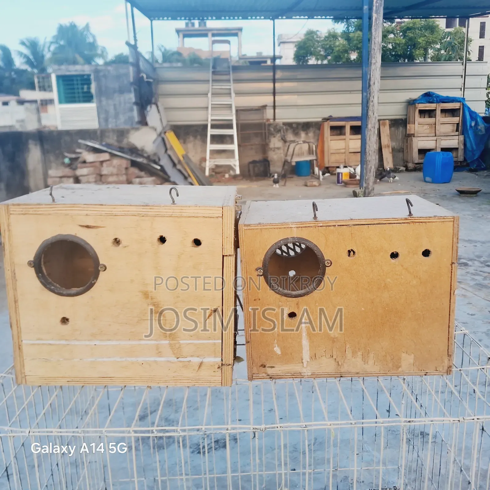 Love Birds Breeding Box 2 Pis & 18/24 Size Kobutor Er Khacha