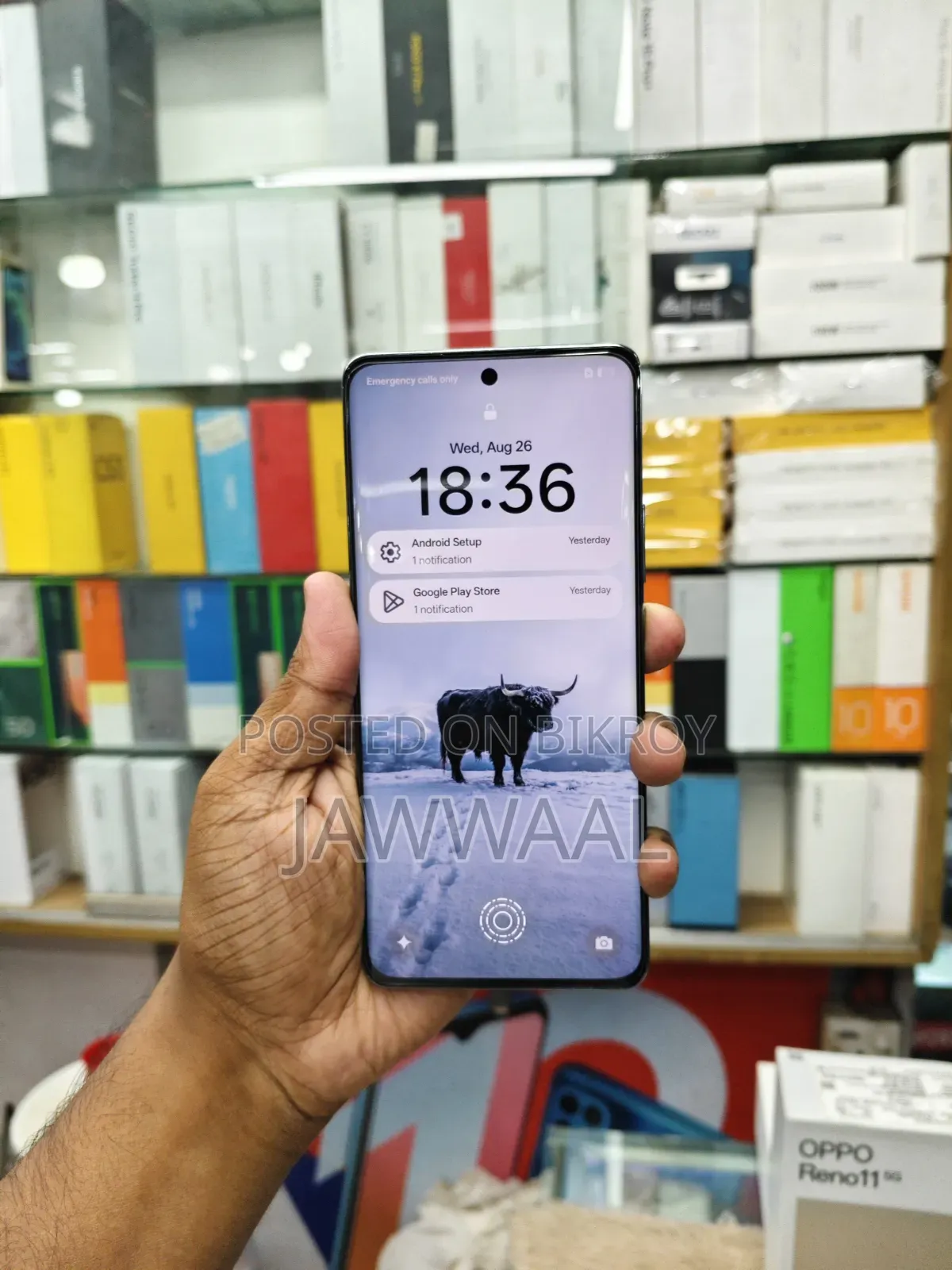 Oppo Reno11 5G 256 GB