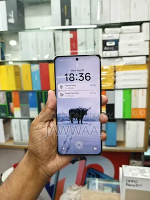 Oppo Reno11 5G 256 GB