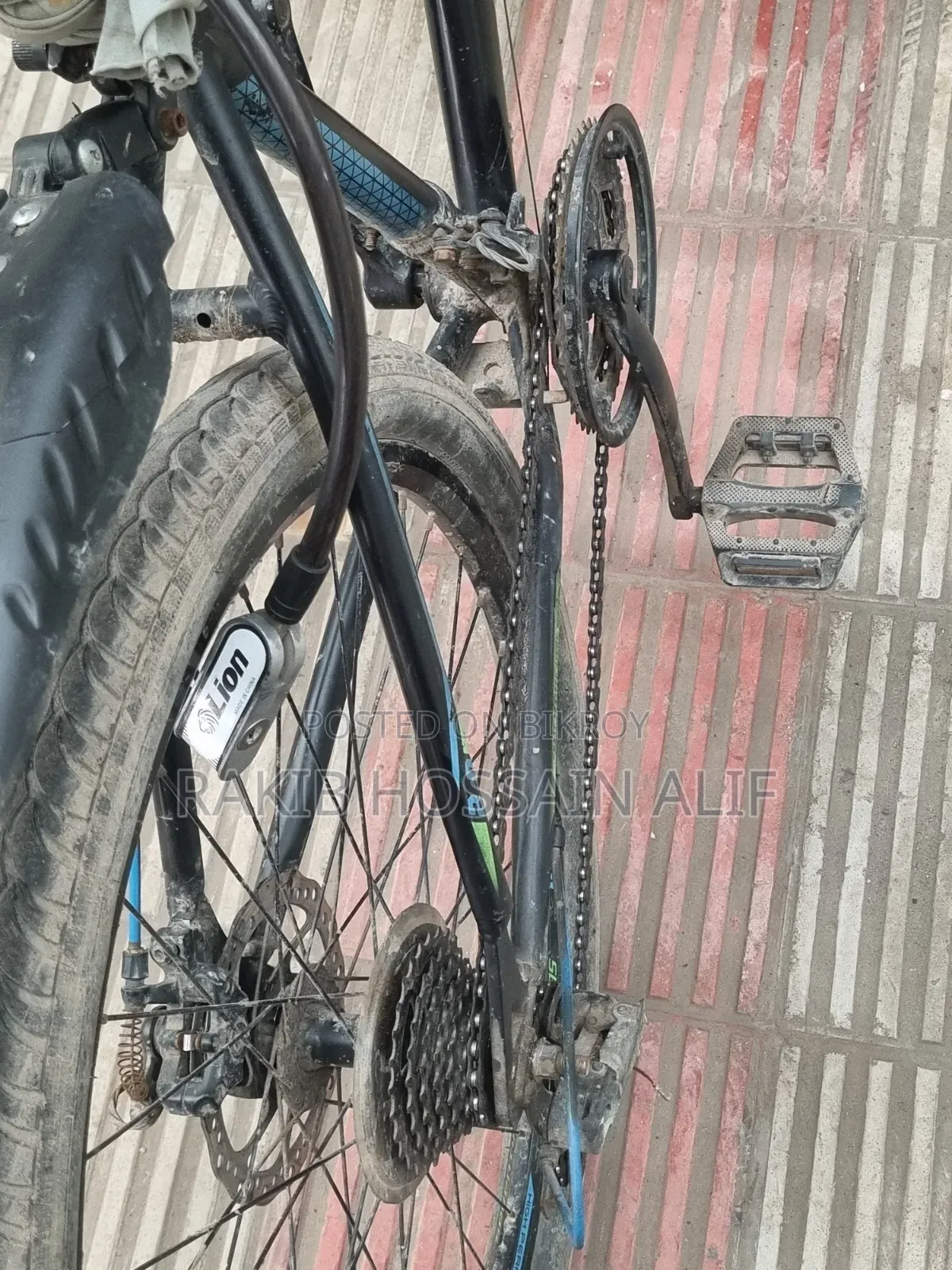 Veloce Cycle