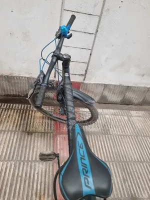 Veloce Cycle