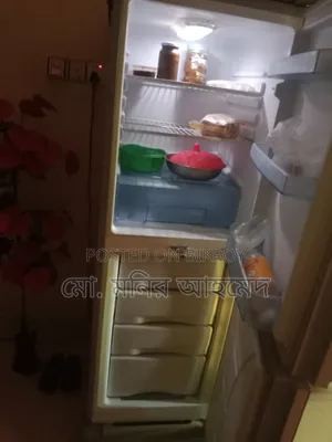Vision Refrigerator