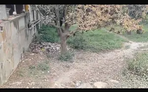 রাজশাহী কাপাশিয়া তে ধানি জমি বিক্রয় করা হবে