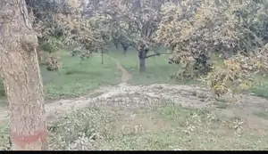 রাজশাহী কাপাশিয়া তে ধানি জমি বিক্রয় করা হবে
