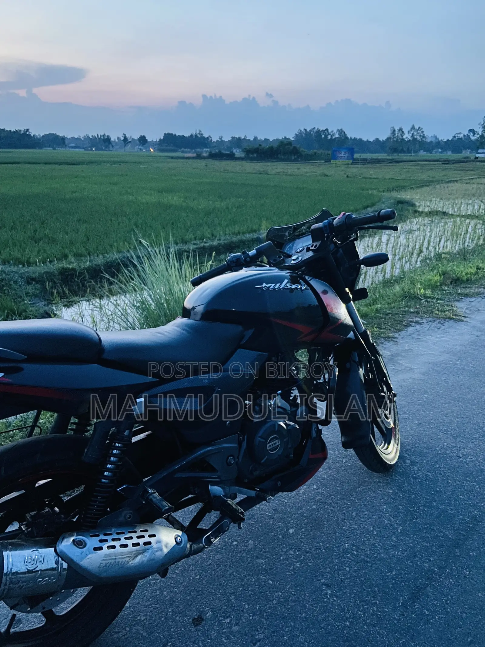 Bajaj Pulsar 150 2019 Black