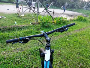 শুধু সাইকেলের হ্যান্ডেল