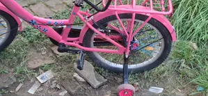 Akij 24" Inch Cycle