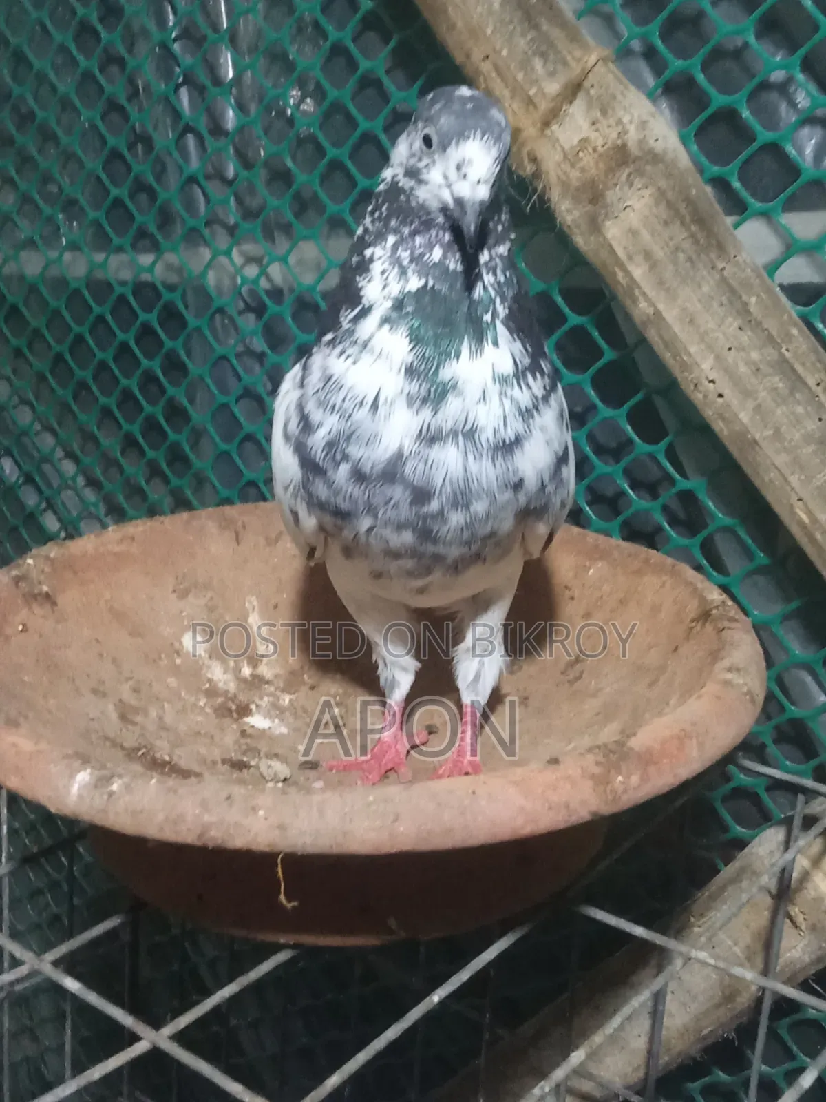 আমার বিজ্ঞাপন