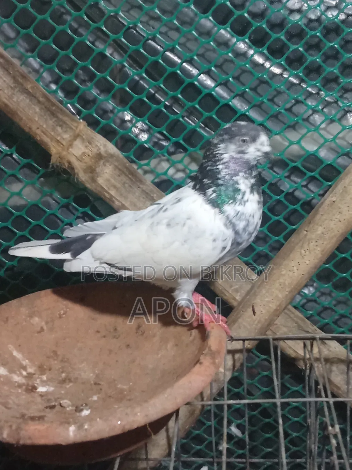 আমার বিজ্ঞাপন