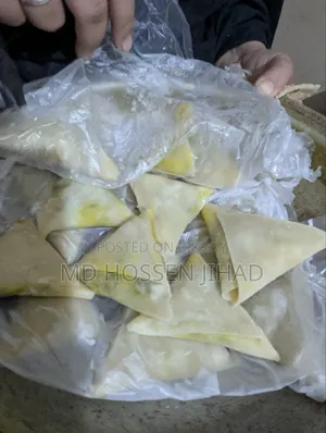 Frozen Samosa