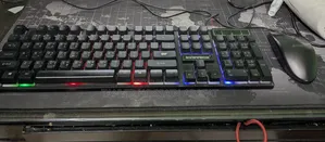 Keyboard SUNTECH RGB Lights 
Mouse A4 Tech