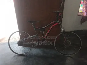 Motorcycle 2023 Gold