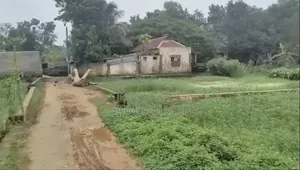 সাভার রাজাশনে ৬ কাঠা জমি বিক্রি | 6 Katha Land in Rajashon, Savar