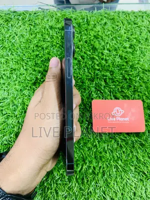 Apple iPhone 13 Pro Max 128 GB Green