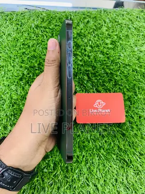 Apple iPhone 13 Pro Max 128 GB Green