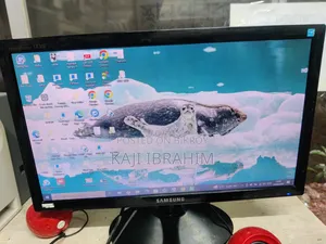 Computer Monitor