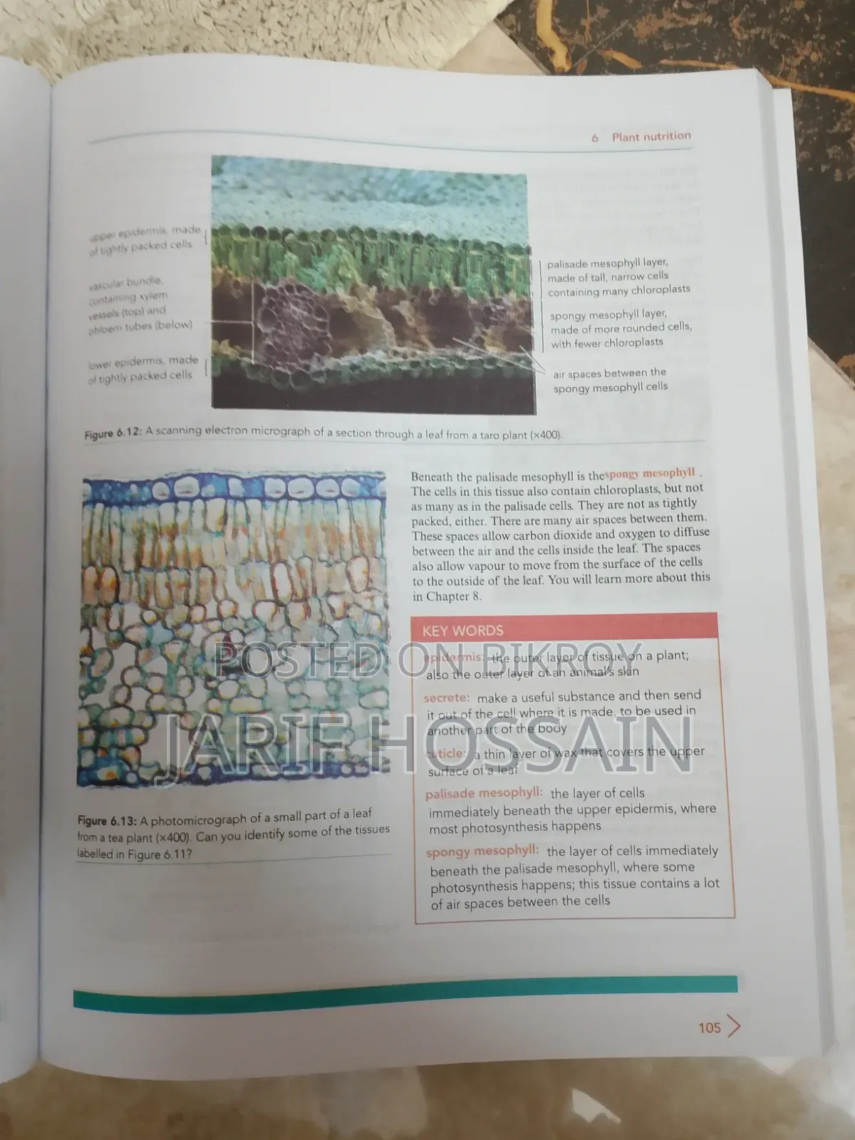 English Medium O Level Biology