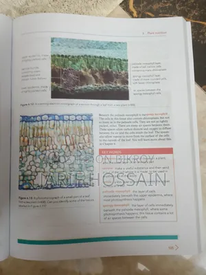 English Medium O Level Biology