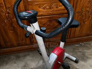 Workout Bicycle