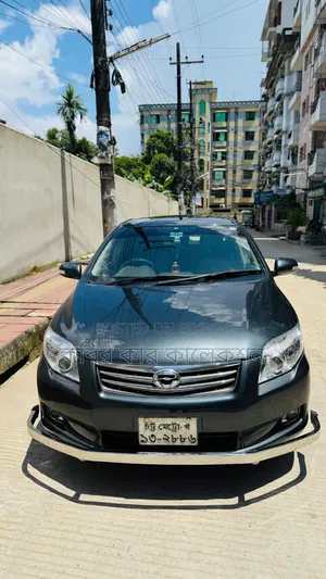 Toyota Axio 2011 Gray
