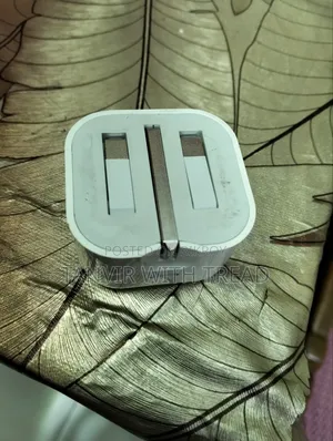 iPhone/iPad 20w Charger (Without Cable)