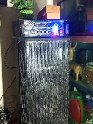 12"Jbl China Speaker