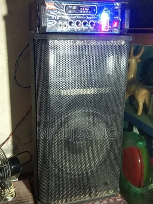 12"Jbl China Speaker