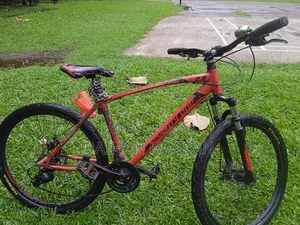 Qlink XP 200 2021 Red