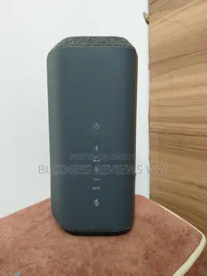 Sony SRS-XE300 | Portable Wireless Bluetooth Speaker in Gray/Black