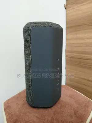 Sony SRS-XE300 | Portable Wireless Bluetooth Speaker in Gray/Black