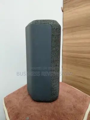 Sony SRS-XE300 | Portable Wireless Bluetooth Speaker in Gray/Black