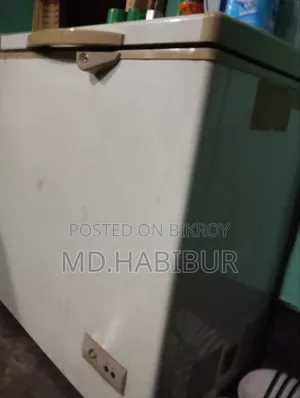 Singer Deep Freezer
