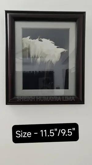 সিনারি বিক্রি করা হবে