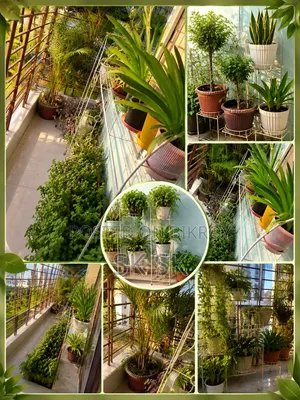 13 pcs plant stands for sale, along with many free plants, soil, and pots