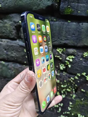 অ্যাপল আইফোন ১২ প্রো ম্যাক্স ২৫৬ জিবি ব্লু