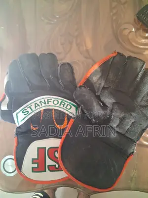 Wicket Keeping Gloves