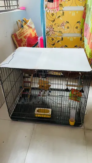 পাখির খাঁচা ফুল সেট