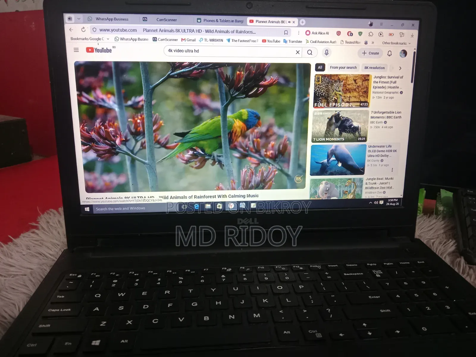 Laptop Dell Inspiron 15 4GB Intel Core i3 HDD 500GB