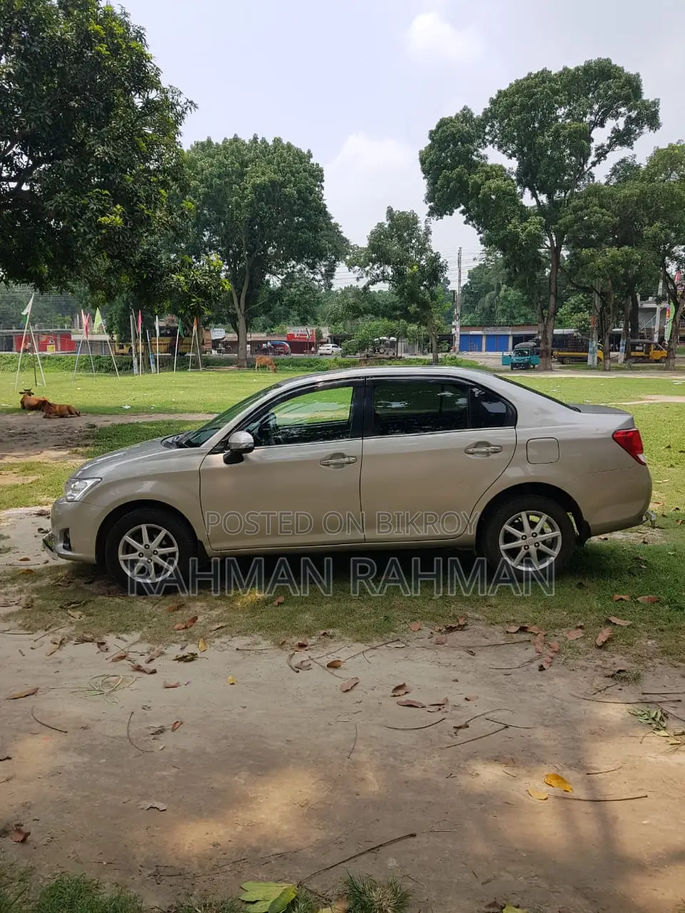 Toyota Axio 2013 Beige