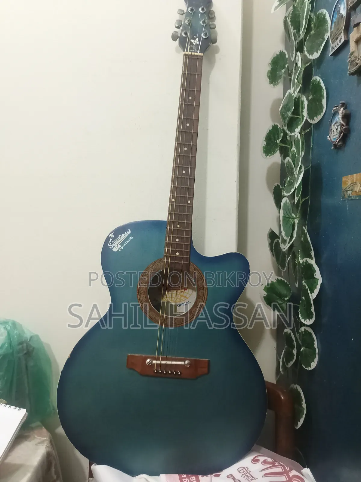 Indian Semi-Electric Signature Guitar (Blue)