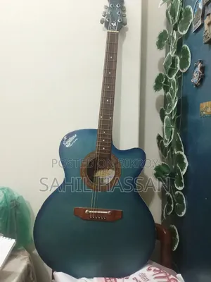 Indian Semi-Electric Signature Guitar (Blue)