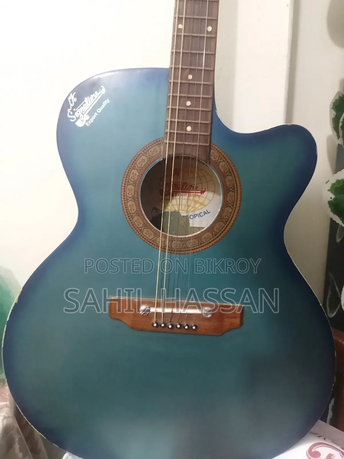 Indian Semi-Electric Signature Guitar (Blue)