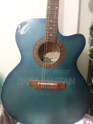 Indian Semi-Electric Signature Guitar (Blue)