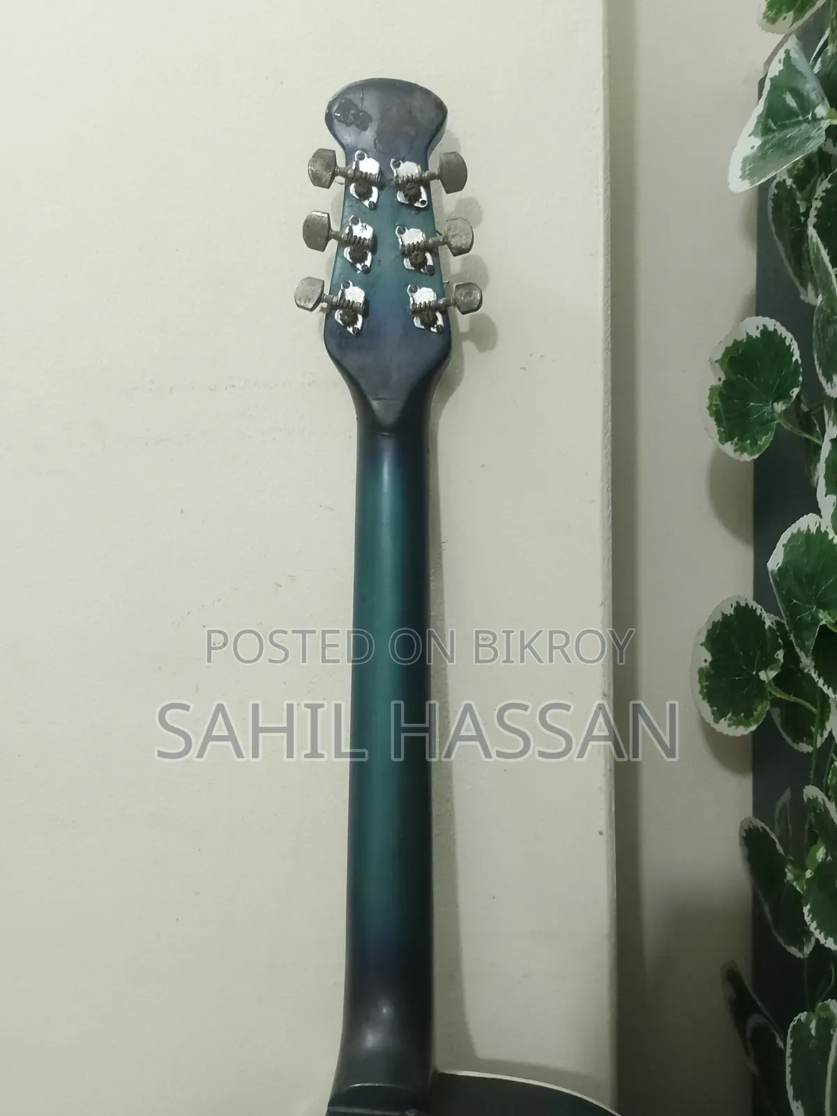Indian Semi-Electric Signature Guitar (Blue)