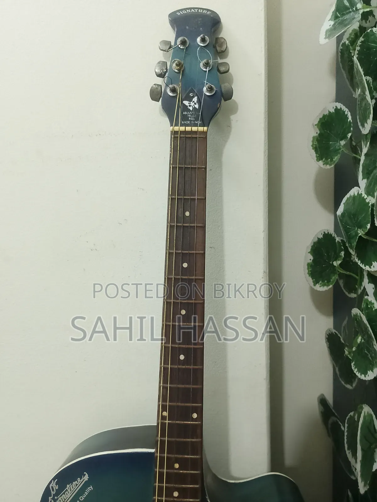 Indian Semi-Electric Signature Guitar (Blue)