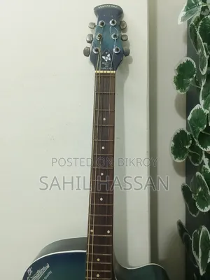 Indian Semi-Electric Signature Guitar (Blue)