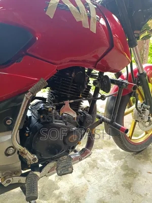 Bajaj Pulsar 150 2010 Red