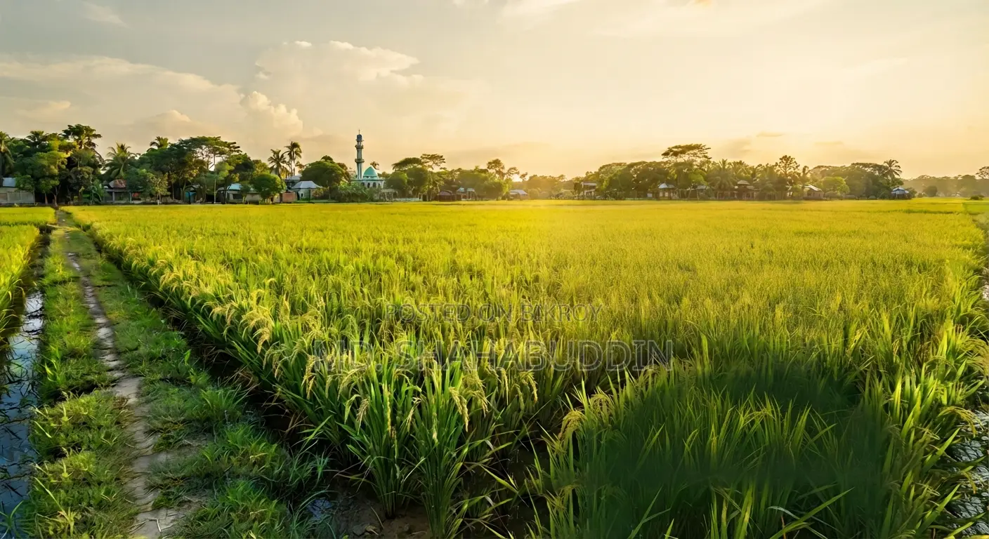 গাজীপুর জেলায় পূবাইল, নন্দিবাড়ী মৌজায় ৩.৩৭৫ শতাংশ জমি বিক্রয় হইবে