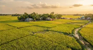 গাজীপুর জেলায় পূবাইল, নন্দিবাড়ী মৌজায় ৩.৩৭৫ শতাংশ জমি বিক্রয় হইবে
