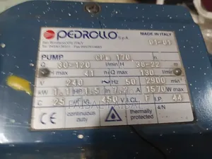 Pedrollo Water Pump ( 1.1HP)